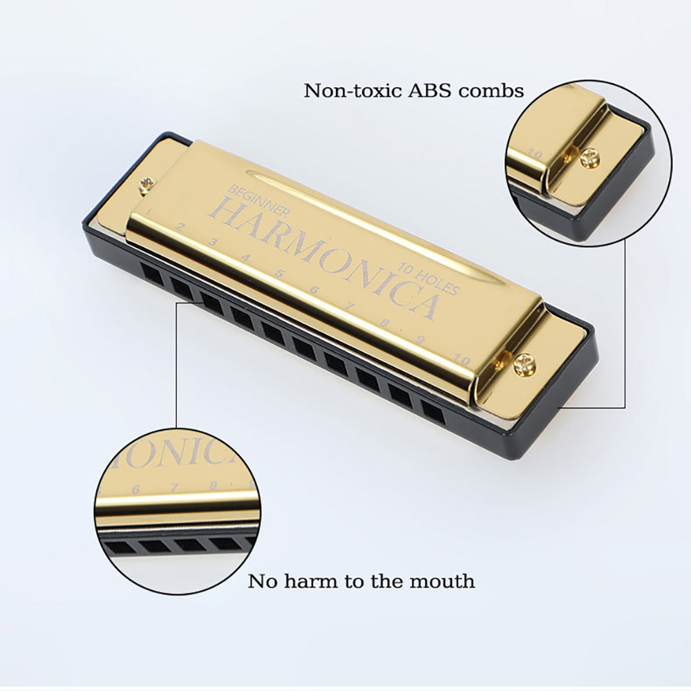 Armónica de 10 agujeros C, arp - Harmonica 10 Hole reseña y precio