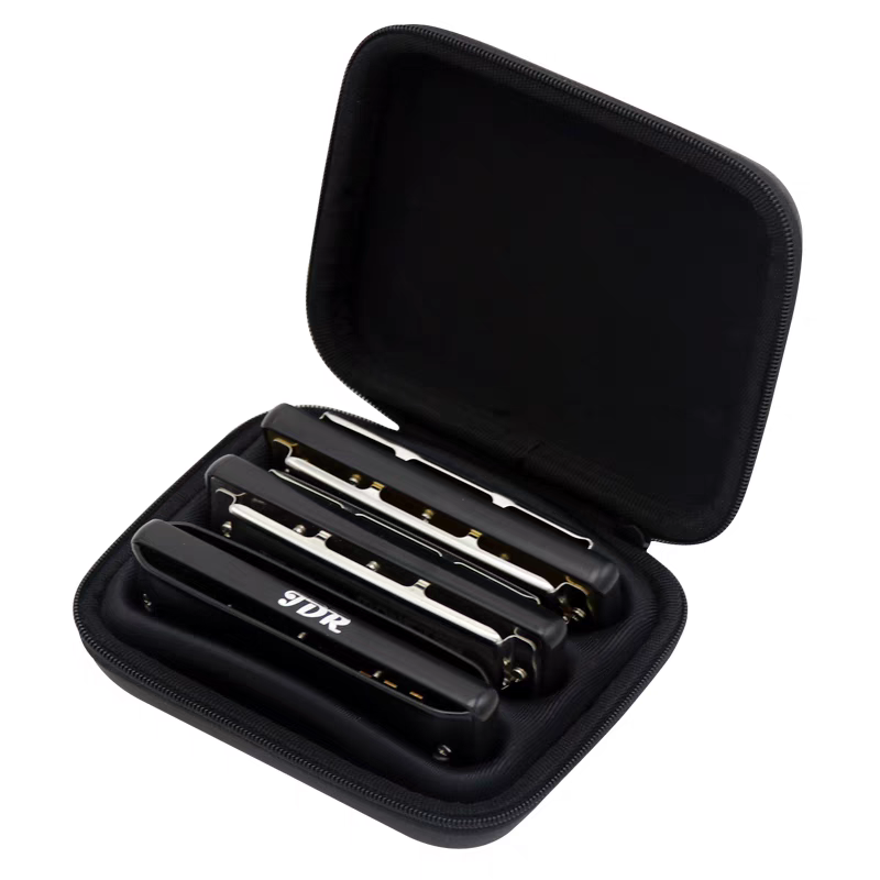 Estuche para Armónica Diatónic - Harmonica 10 Hole reseña y precio