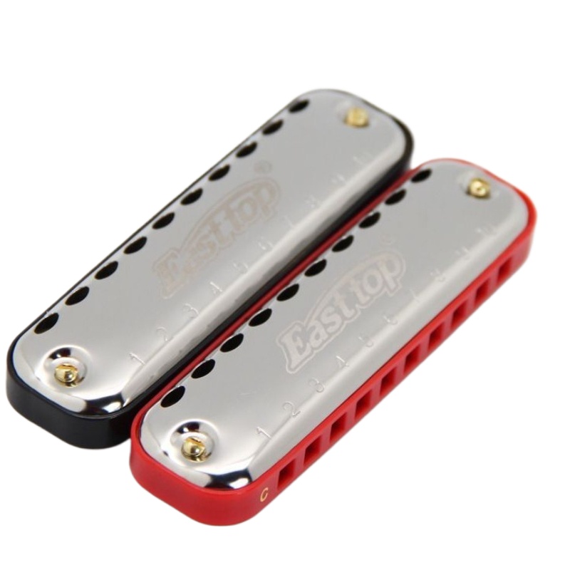 Instrumento de bolsillo para p - Harmonica 10 Hole reseña y precio