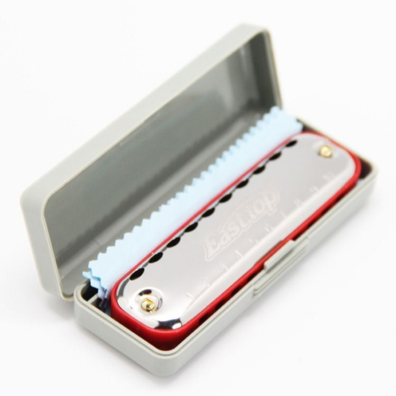 Instrumento de bolsillo para p - Harmonica 10 Hole reseña y precio