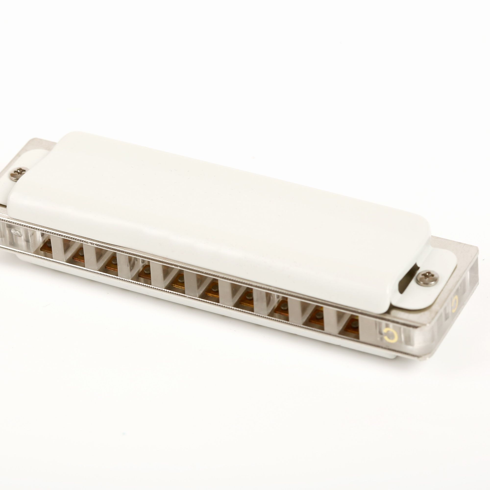 East top-armónica profesional  - Harmonica 10 Hole reseña y precio