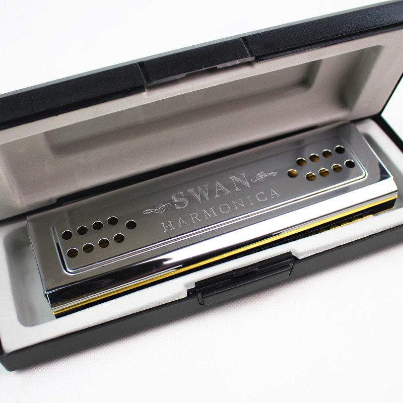 Armónica de cisne de ambos lad - Harmonica 10 Hole reseña y precio