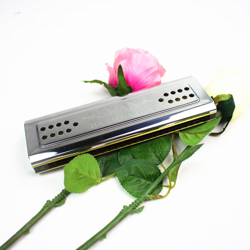 Armónica de cisne de ambos lad - Harmonica 10 Hole reseña y precio